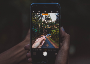 reverse image search