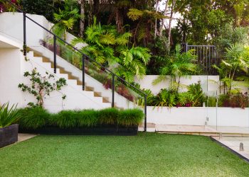 best lawn