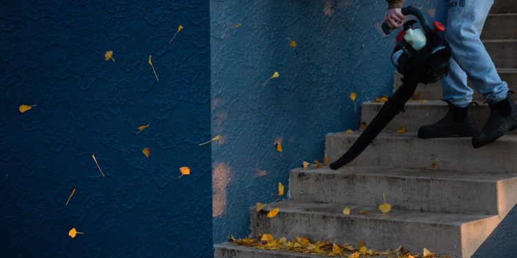 Backpack leaf Blowers