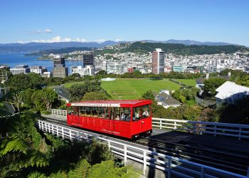 study in New Zealand