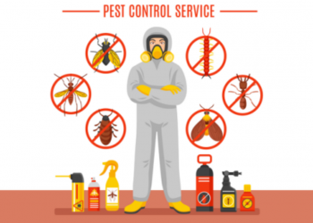 Pest removal services 