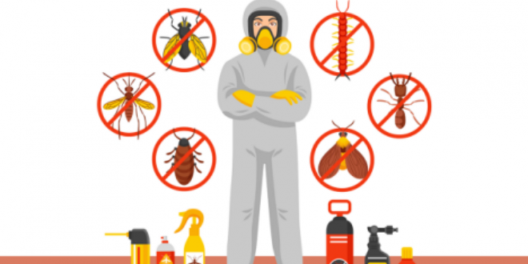 Pest removal services 