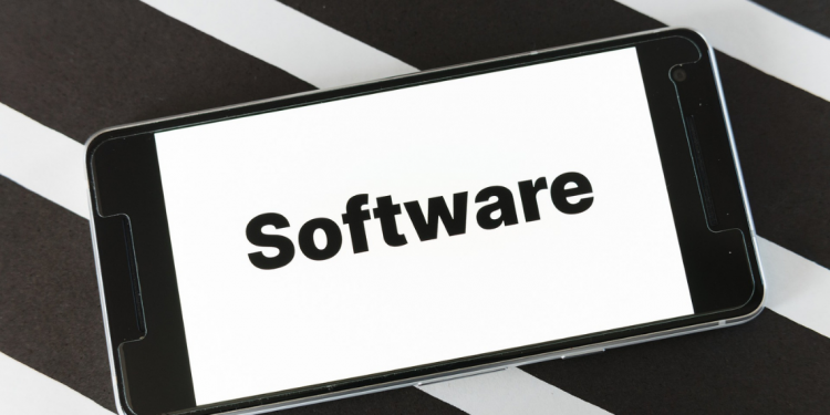 software development