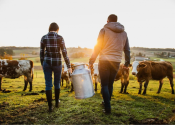 a tract of land used for raising crops or livestock
