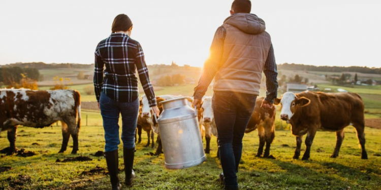 a tract of land used for raising crops or livestock