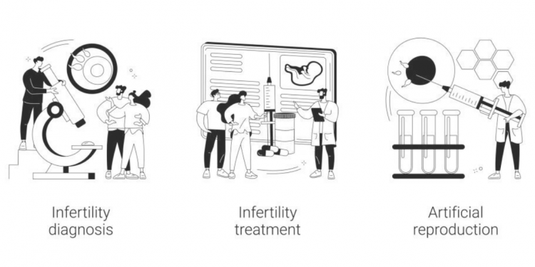 International Donor Egg Bank