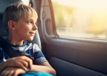 Car & Travel Accessories