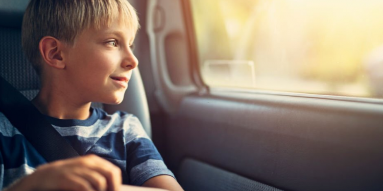 Car & Travel Accessories