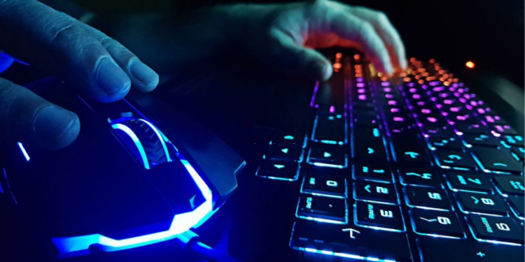 Keyboards & Mouse Devices