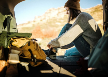 Car & Travel Accessories