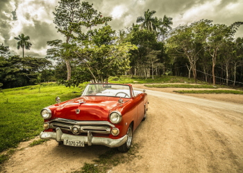 Car & Travel Accessories