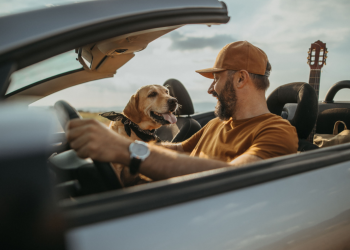 Carriers & Travel Products