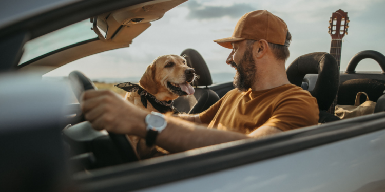 Carriers & Travel Products