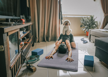 Furniture & Litter Mats