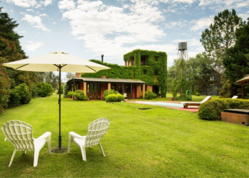 New Backyard Accessories