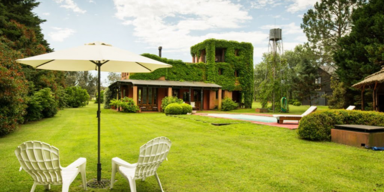 New Backyard Accessories