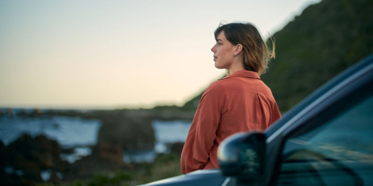 Car & Travel Accessories