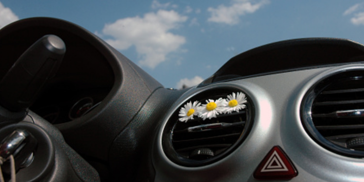 Car Fragrance