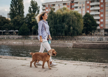 Dog Leashes and Collars