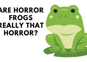 horror frog