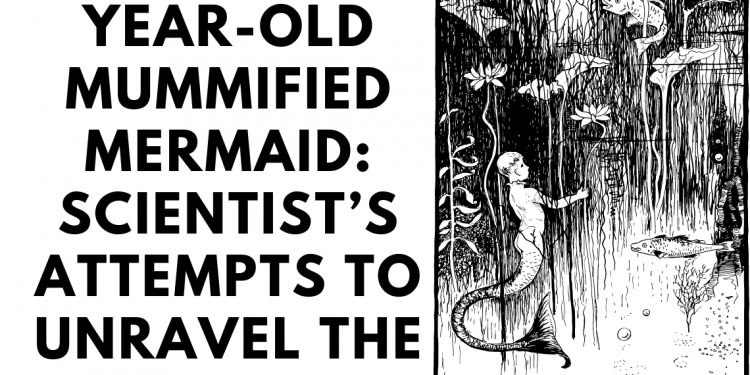The 300-year-old mummified mermaid: Scientist’s attempts to unravel the secrets