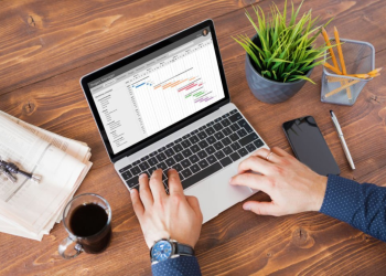 Timeline Management Tool