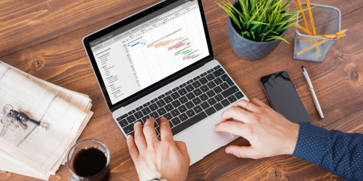 Timeline Management Tool