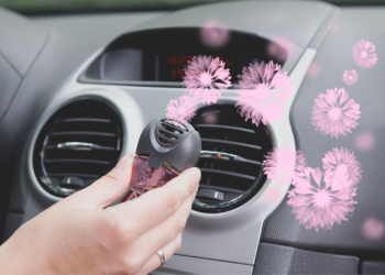 Car Air Fresheners