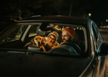 Car Interior Accessories