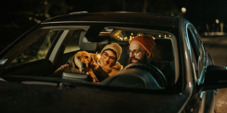 Car Interior Accessories