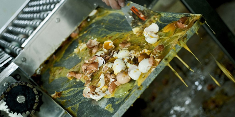 Garbage Chute Cleaning And Deodorizing