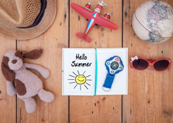 Dog Travel Accessories