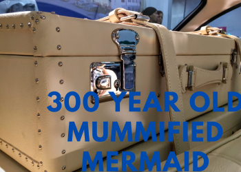 300 year old mummified mermaid