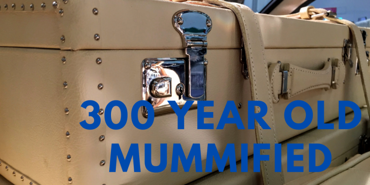 300 year old mummified mermaid