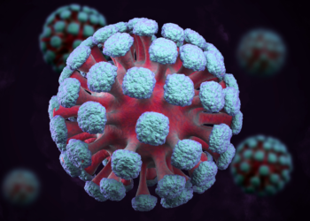 What You Need to Know About Monkeypox: Pictures and Facts