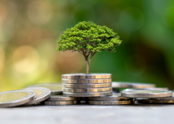 Why Environmental Studies is Important?