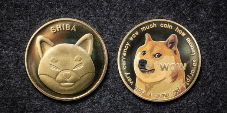 shiba inu crypto