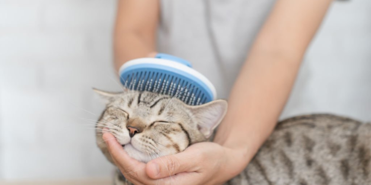 Pet Massage Brush