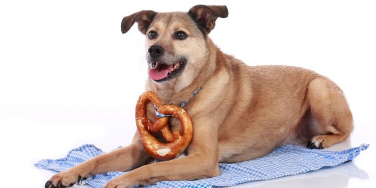 Can Dogs Eat Pretzels