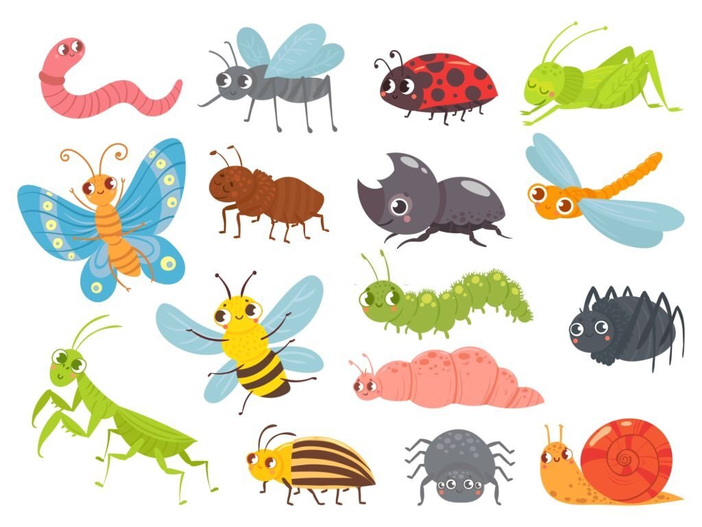 Insects