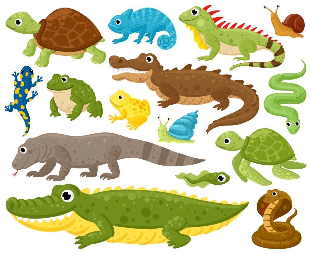 Reptiles