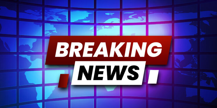 Triminer Shifts to MSB-Licensed Growminer: Elevate Your Mining with Staking and Upgraded Hardware!