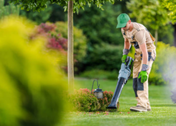 Electric Leaf Blowers