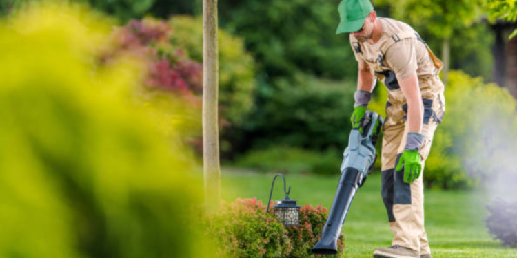 Electric Leaf Blowers