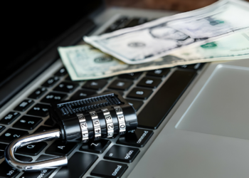 Professional Security