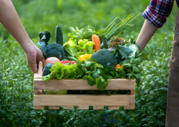 how to start a vegetable garden in small spaces