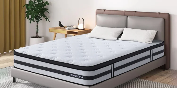 bed frame sizes and dimensions in New Zealand