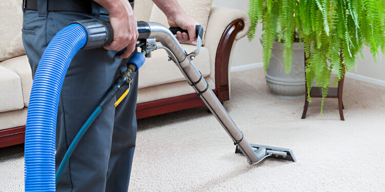 Shellharbour Carpet Cleaning